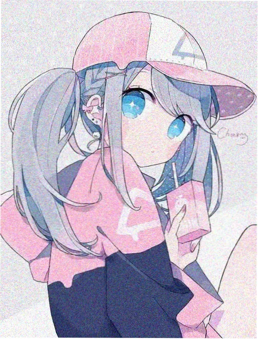 蜘蛛网